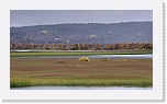 autum colors of taiga-3842 * 900 x 506 * (407KB)